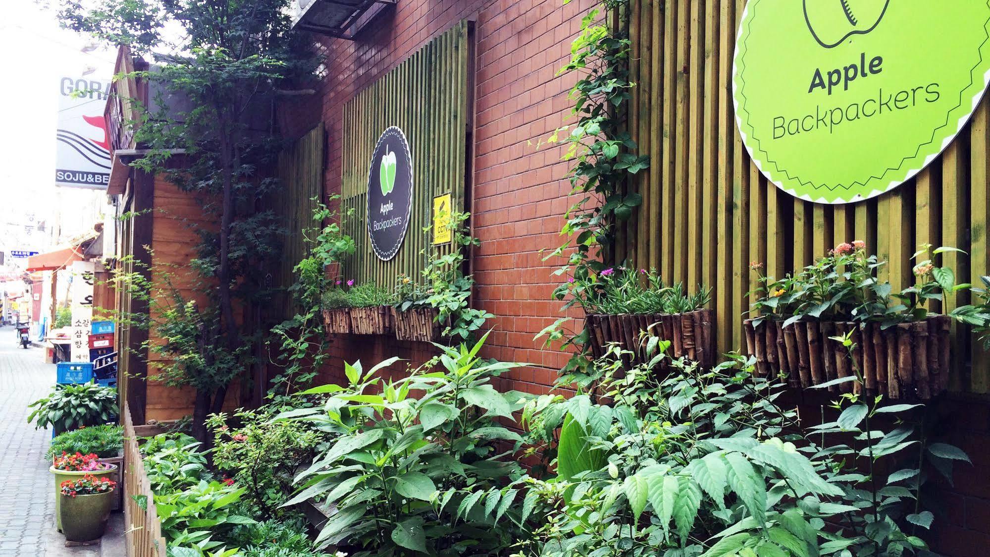 Apple Backpackers Hostel Сеул Екстериор снимка